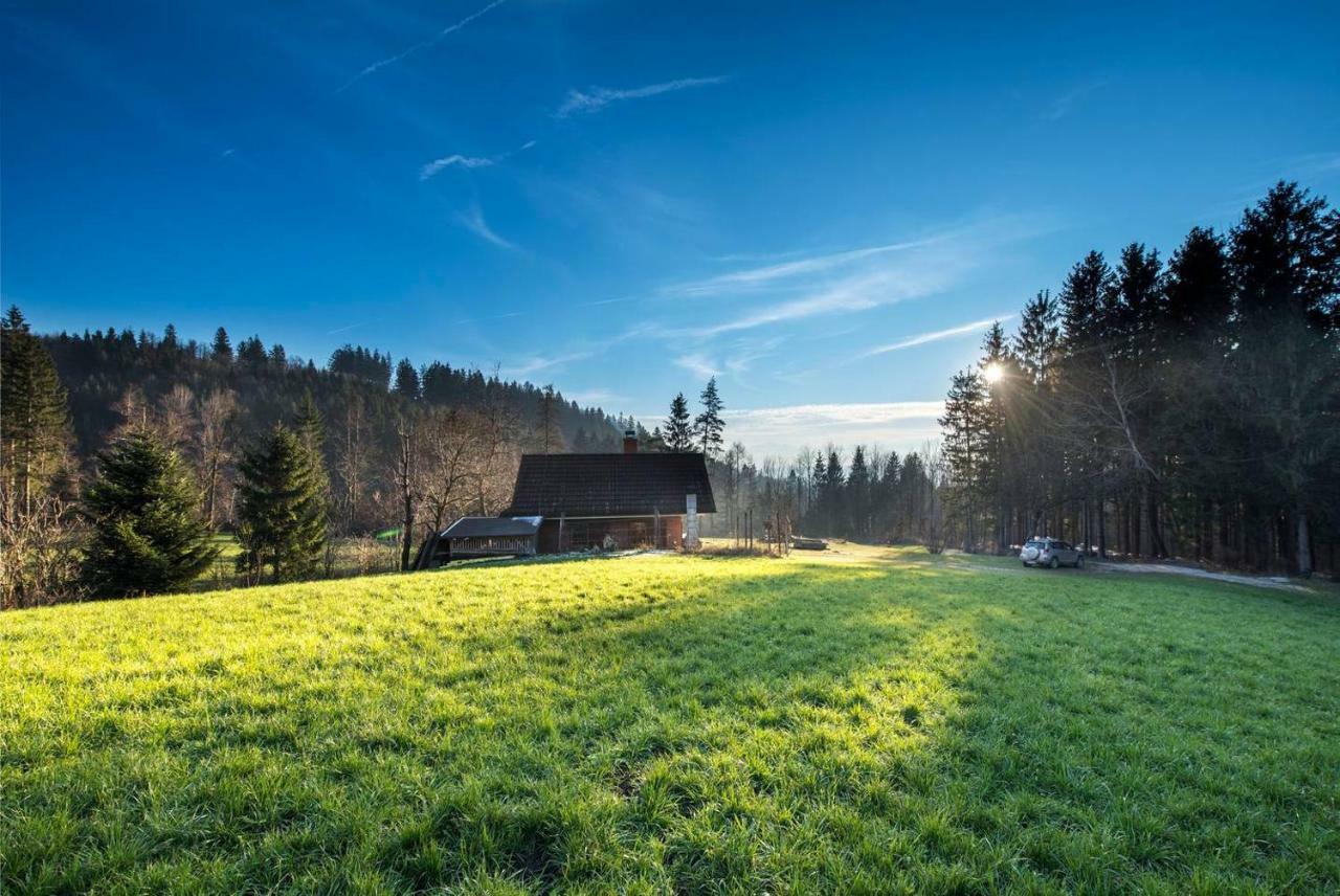 Little Dream House In A Perfect Spot Villa Zalog Eksteriør bilde